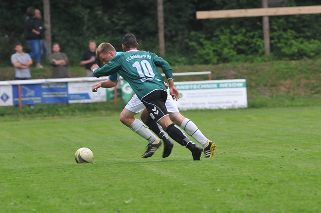 總結來看 總結來看