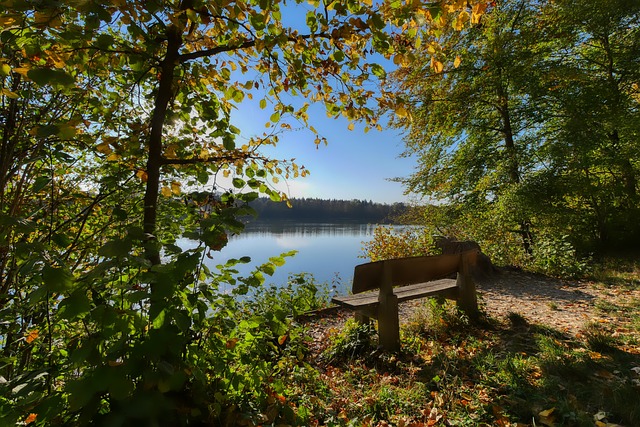 切尔西蓝军 切尔西蓝军