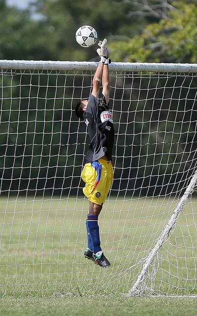 增添了无尽 增添了无尽