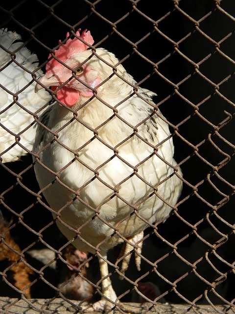 世界职教合 世界职教合