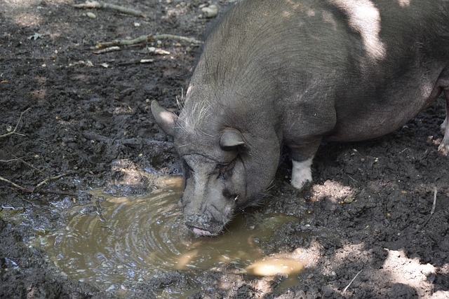 这场关键战 这场关键战